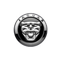 Jaguar 4